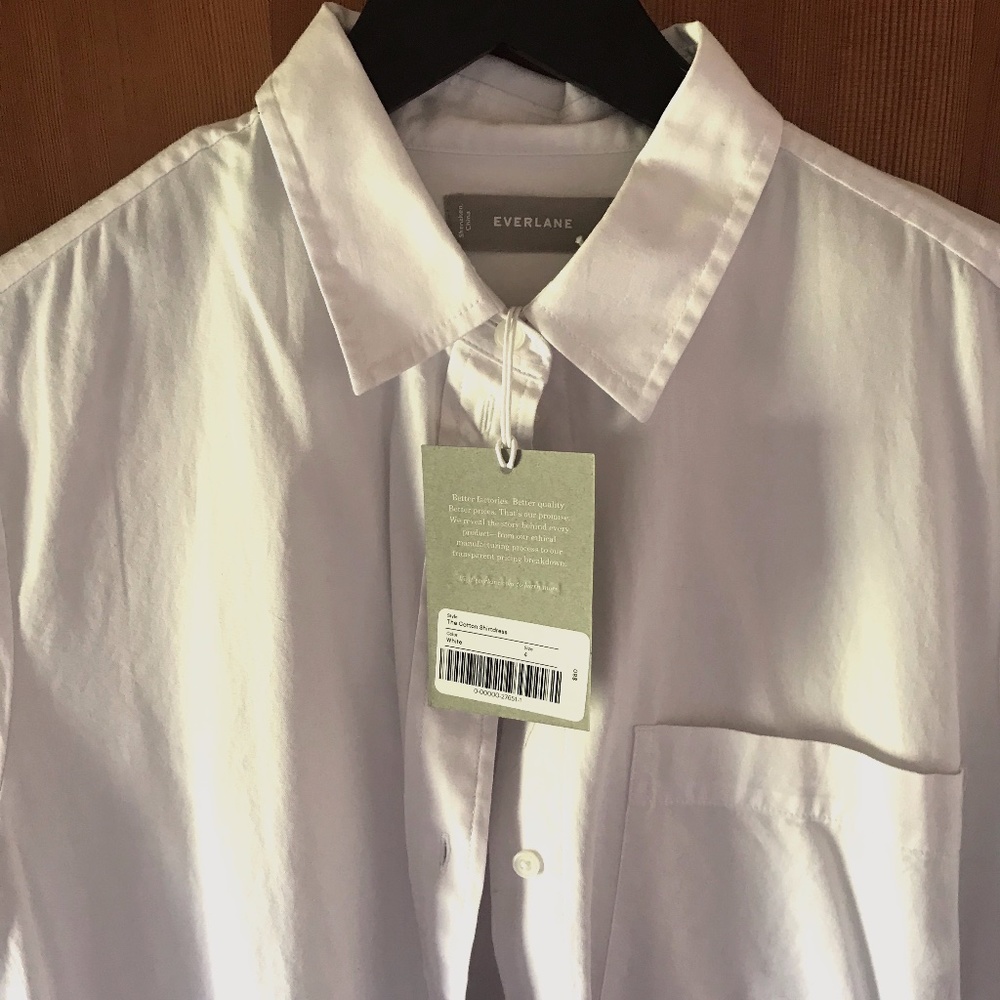 Everlane The Cotton Shirtdress